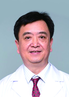 沈晓文